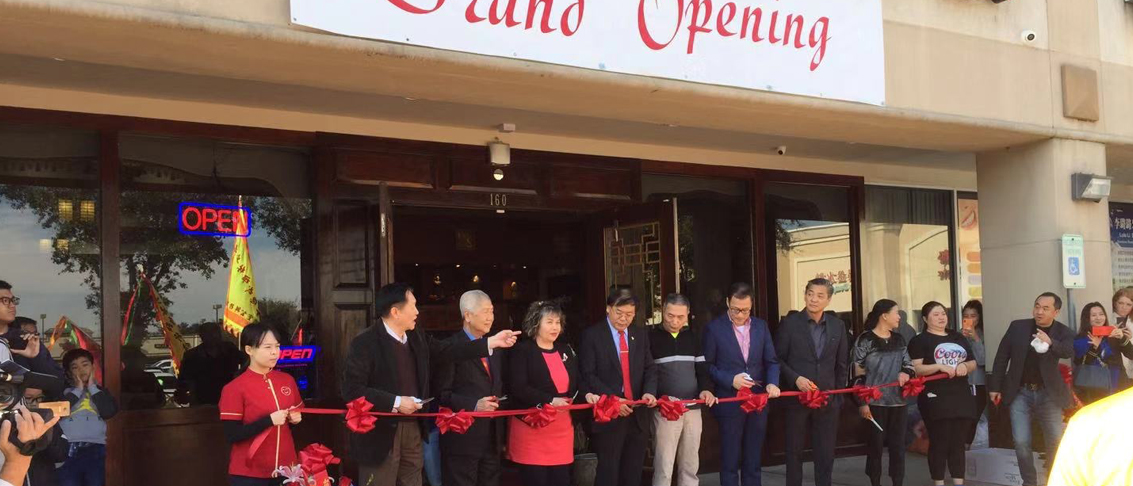 wheel alignment and balancing